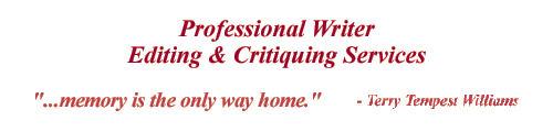 Writer Editing and Critiquing Services